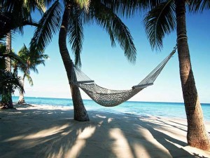 Hammock on coconut trees