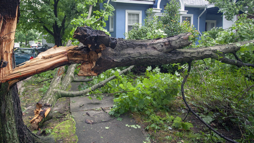 Make sure your home is properly insured before hurricane season. Make sure your home is properly insured before hurricane season.
